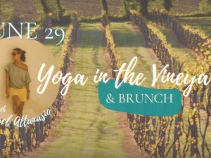 Yoga in the Vineyard Image